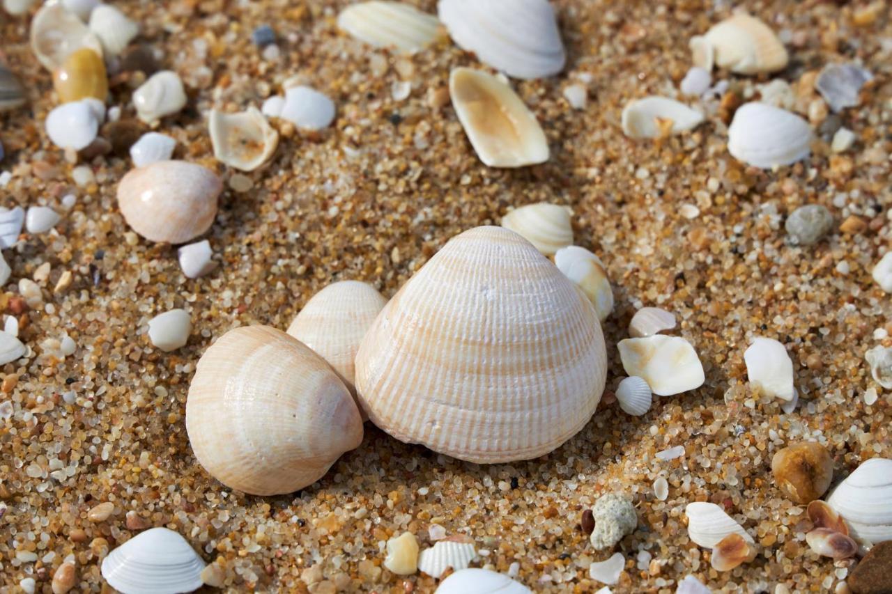 Apart@Costasantoandre Beach Santiago do Cacém Εξωτερικό φωτογραφία