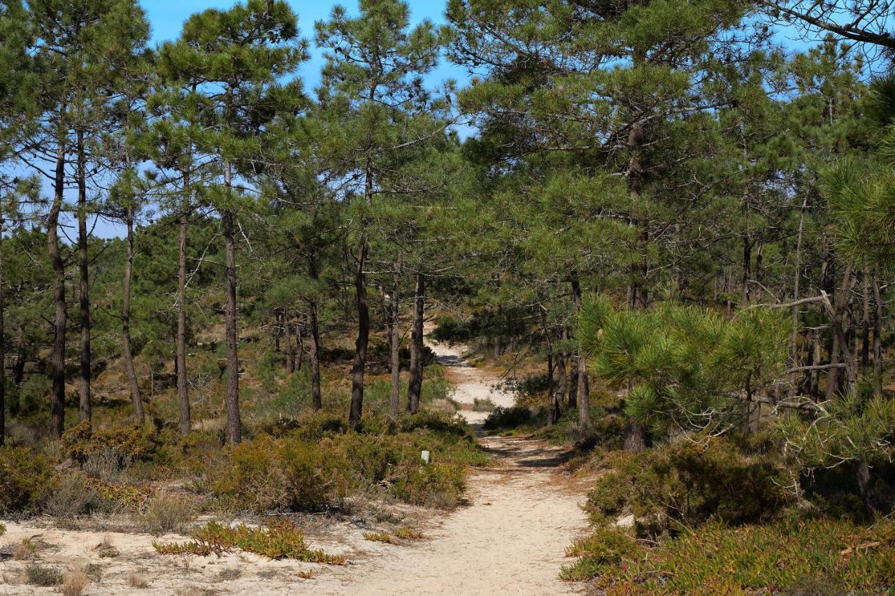 Apart@Costasantoandre Beach Santiago do Cacém Εξωτερικό φωτογραφία