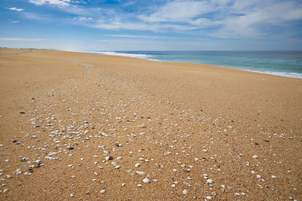 Apart@Costasantoandre Beach Santiago do Cacém Εξωτερικό φωτογραφία